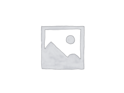 Gloworm lights image png
